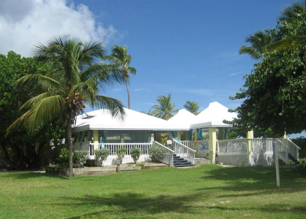 Tamarind Reef Resort Spa & Marina Christiansted Exterior photo