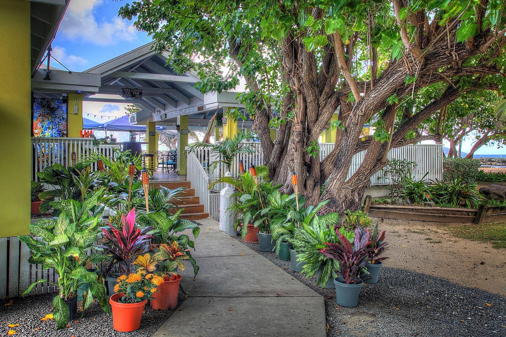 Tamarind Reef Resort Spa & Marina Christiansted Exterior photo